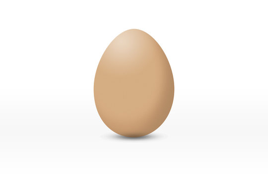 egg on white background