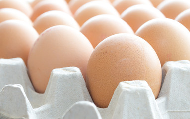 Hühnereier - Hühnerei - Ei - Huhn