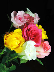 Close-up of multi-colored roses