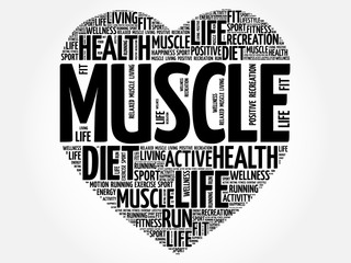 Muscle heart word cloud, fitness, sport, health concept