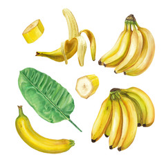 Watercolor banana set - 110640503