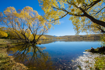 Beautiful autumn landscape in Lake McGregor,Canterbury Region, New Zealand