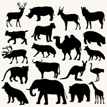 wild animals