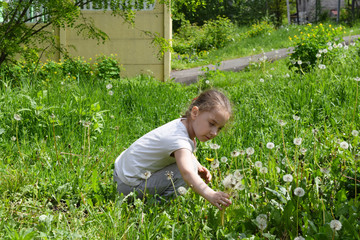 The little girl in the grass