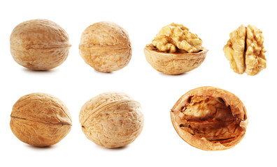 Walnut isolated on a white background, collage
