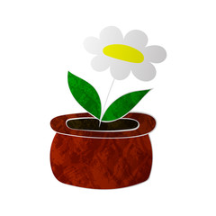 chamomile flower in pot colorized texture