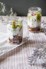 Light yogurt parfait with kiwi and dried cherries on wooden background. Healthy eating.