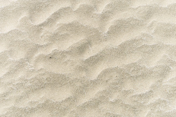 写真素材「片貝海水浴場の砂模様」