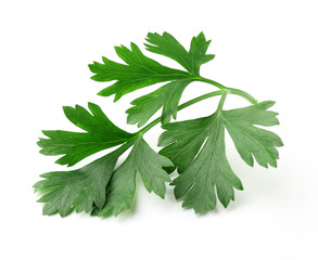 Fresh parsley isolated on white