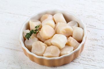 Raw scallops
