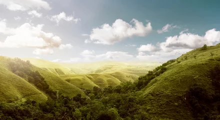 Foto op Canvas Landschap met heuvels op het eiland Sumba © Leo Lintang