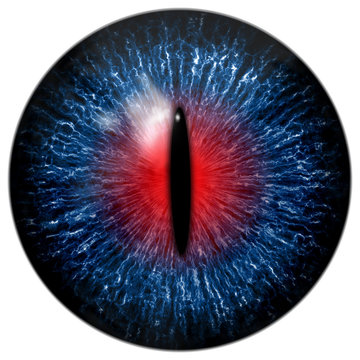 Blue red cat, alien, crocodile or reptile eye with black narrow pupil
