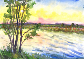 Landscape, watercolor painting. Tree on the shore, a duck swims, sunset over the horizon - 110649121