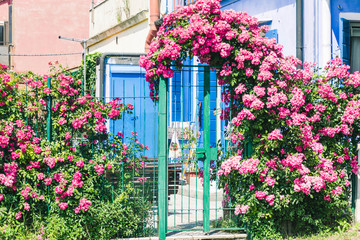 Fototapeta na wymiar Flowery entrance of a house - nature concept