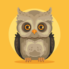 Vector flat cartoon owl illustration