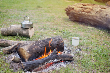 Camping in the woods on the banks of the river. 