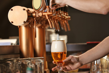 Barman hands pouring a lager beer in a glass.