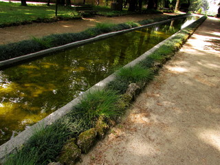 Lingua di acqua al parco