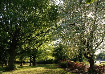 Colourful Spring Landscape.