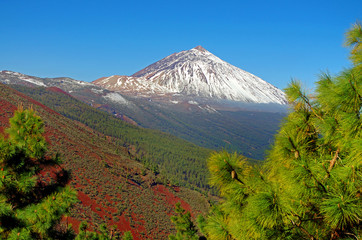 El Teide National Park, Tenerife, Canary Islands, Spain
