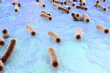 Bacteria on surface of skin, mucous membrane or intestine, model of Escherichia coli, Salmonella, Klebsiella, Legionella, Mycobacterium tuberculosis, simulating electron microscope, 3D illustration
