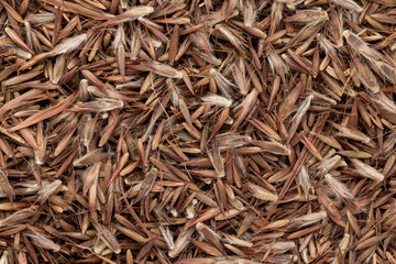 Organic Palmarosa (Cymbopogon martinii) seeds. Macro close up background texture. Top view.