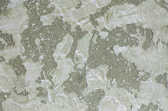 Зеленая декоративная структурная