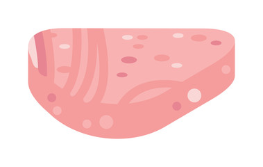 Piece of meat vector ill.ustration.