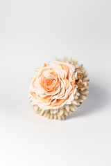 floristry bouquet

