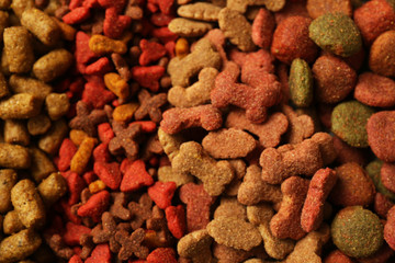 Dog food, closeup