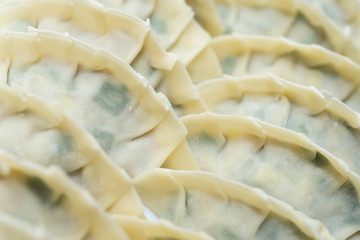 餃子 jaozi dumpling