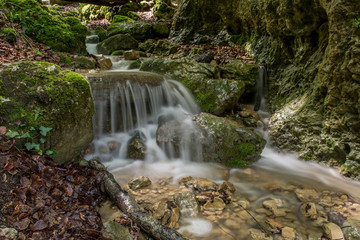 Fototapeta premium Wasser fliesst dich den Bach im Wald