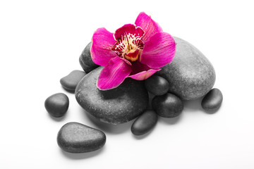 Fototapeta na wymiar Spa stones and red orchid isolated on white