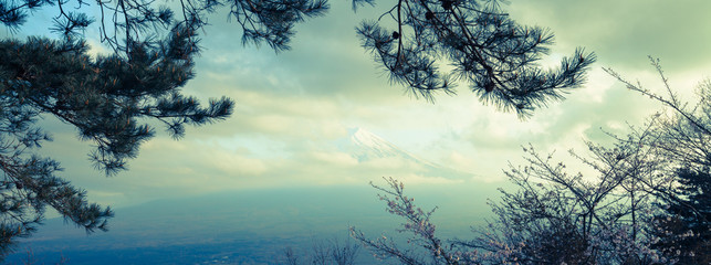 Fototapeta premium View of Mount Fuji from Kawaguchiko in April