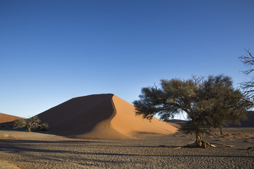 The dune 45 in the Namib Desert, Sossusvlei, Namibia