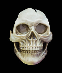 Human skull on isolated black background