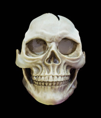 Obraz premium Human skull on isolated black background