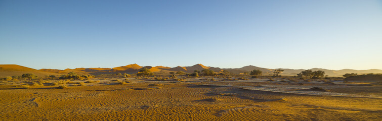 View of red dunes in  in the Namib Desert, in Sossusvley, in the Namib-Naukluft National Park of Namibia