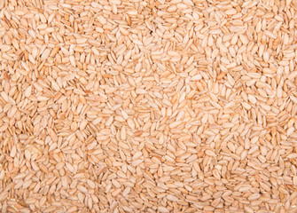 Texture  peeled roasted sunflower seeds, savory close-up.