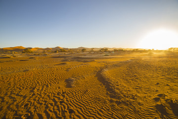 View of red dunes in  in the Namib Desert, in Sossusvley, in the Namib-Naukluft National Park of Namibia