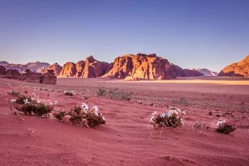  Spring Wadi Rum desert - Valley of the Moon in Jordan. UNESCO Wo © HildaWeges