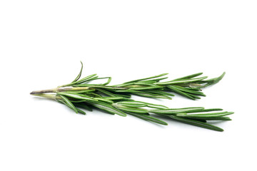 Rosmarin auf weißen Hintergrund © oxie99