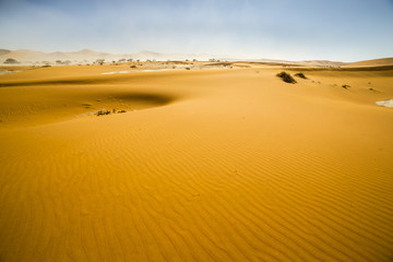 Fototapeta na wymiar View of red dunes in the Namib Desert, Sossusvlei, Namibia