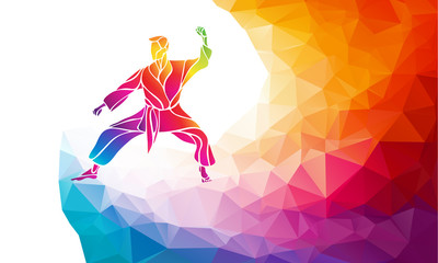 Martial arts jump kick color rainbow silhouette. Karate fighter © kluva