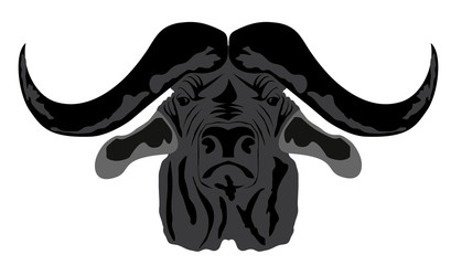 Buffalo head in EPS 8 format on the wight background