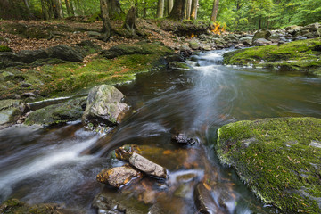 Green Mountain Stream Long Exposure