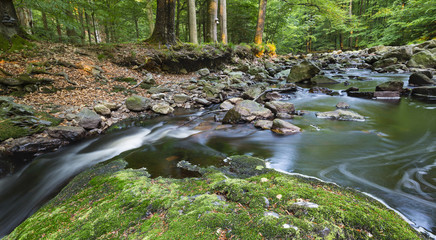 Mountain Stream In Evening Light