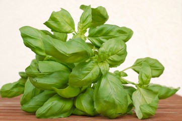 Basil on the wooden background