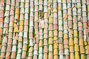 background pattern full of ancient roof ceramic tiles, some broken, with moss
