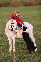 Naklejka na ściany i meble Small child sitting on a white pony touches the hand and a dog looking at the camera